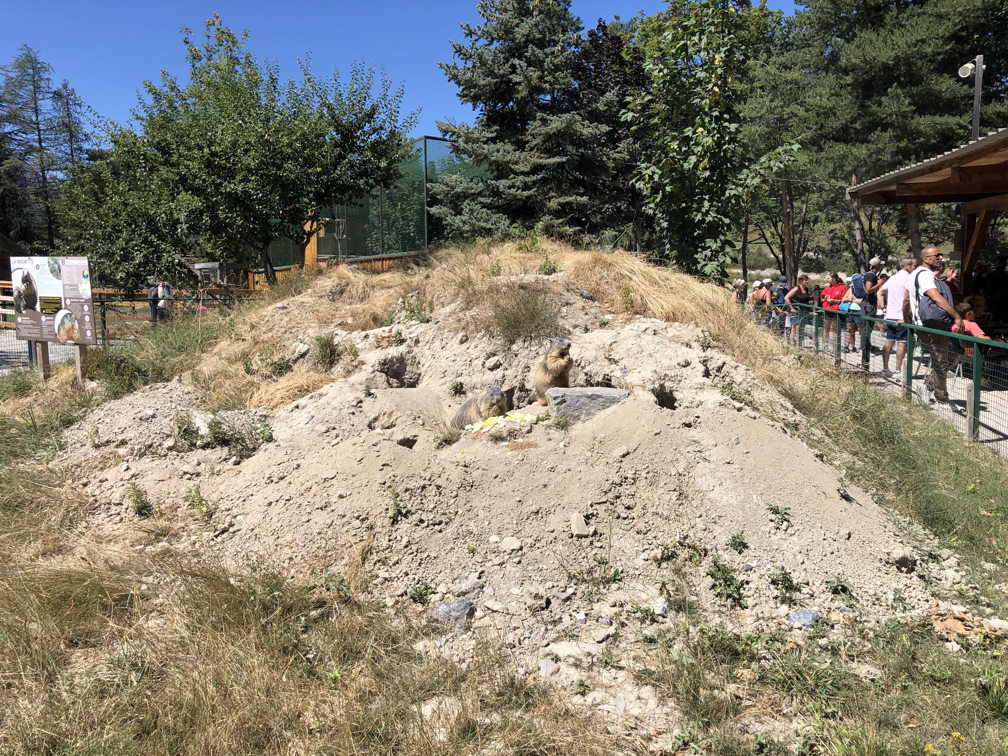 Photo n° 2 de l'avis de Florian. fait le 07/08/2023 à 12:51