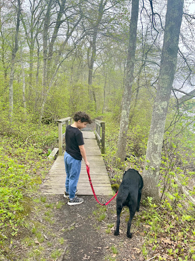 State Park «Dighton Rock State Park», reviews and photos, Bayview Ave, Berkley, MA 02779, USA