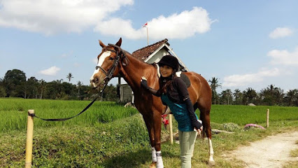 Ubud Horse Stables