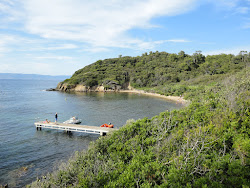 Zdjęcie Palud beach z przestronna zatoka