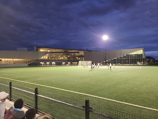 Clareview Artificial Field Turf