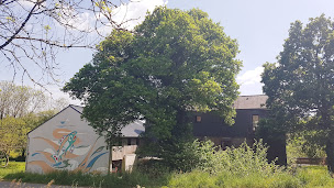 Photo n°6 de Maison de la Rivière - Parc naturel régional d'Armorique à Sizun ()