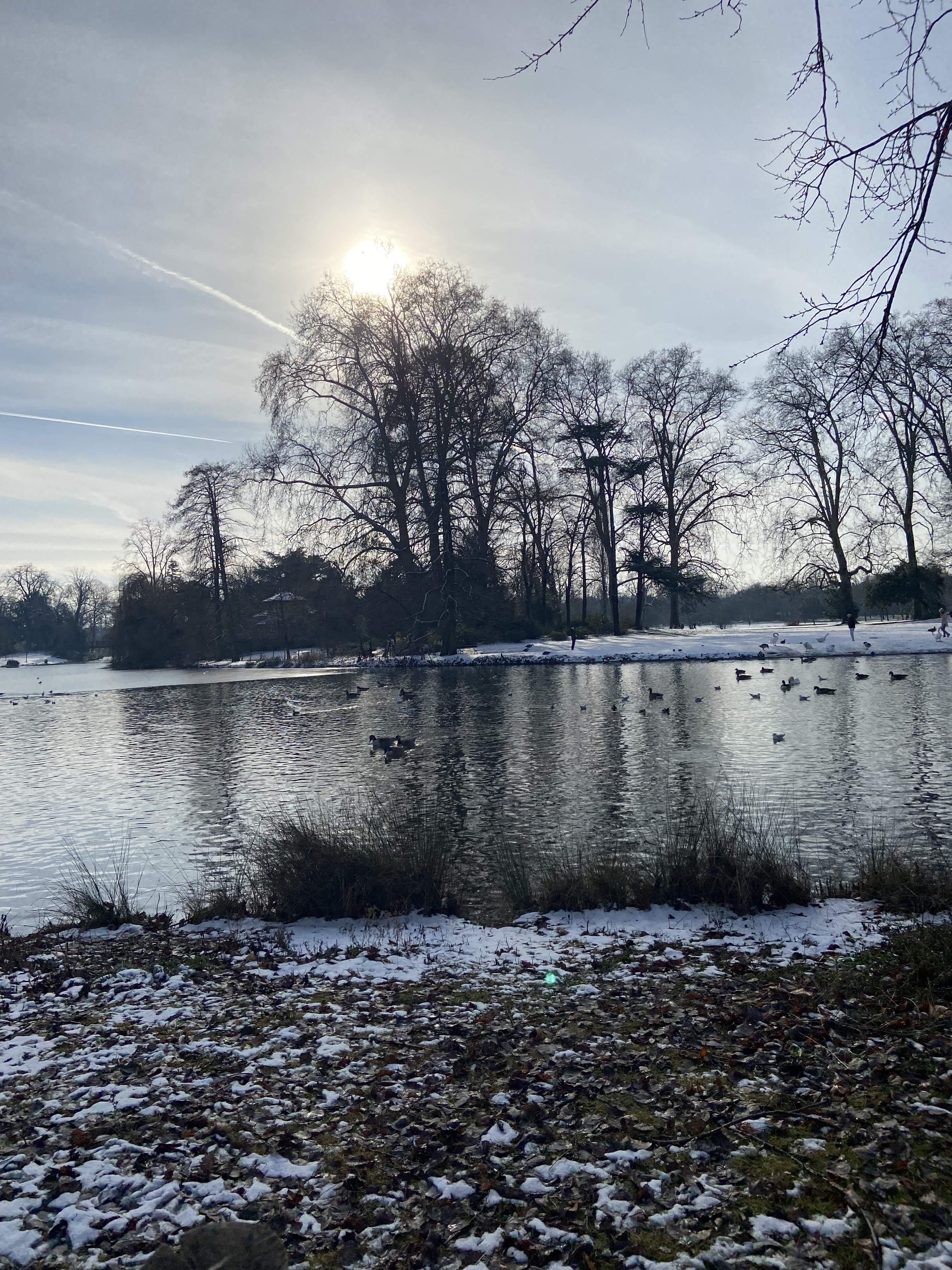 Photo n° 3 de l'avis de Edmée. fait le 24/02/2024 à 23:06