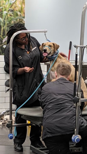 Pet Supply Store «Petco Animal Supplies», reviews and photos, 4665 Garth Rd #400, Baytown, TX 77521, USA