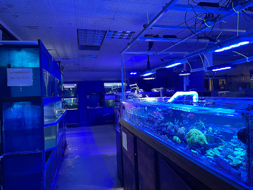 Tropical Fish Store «BB Fish and Pets», reviews and photos, 9226 Cypress Creek Pkwy, Houston, TX 77064, USA