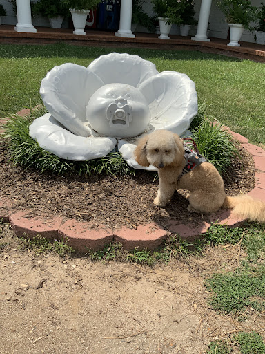 Pet Groomer «Woof Gang Bakery & Grooming Lake Nona - Retail, Grooming», reviews and photos, 10743 Narcoossee Rd, Orlando, FL 32832, USA