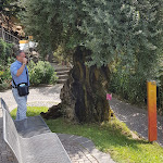 Photo n°7 de l'avis de Ale.c fait le 12/08/2018 à 16:18 sur le  Schlossgarten à Merano