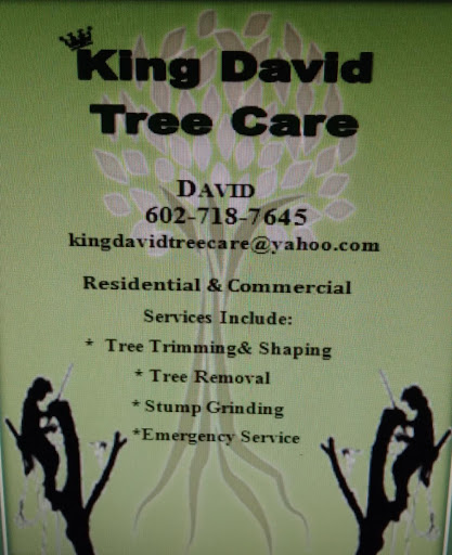 King David Tree Care