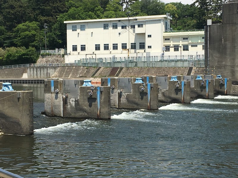 調布取水堰 東京都大田区田園調布 堰 グルコミ