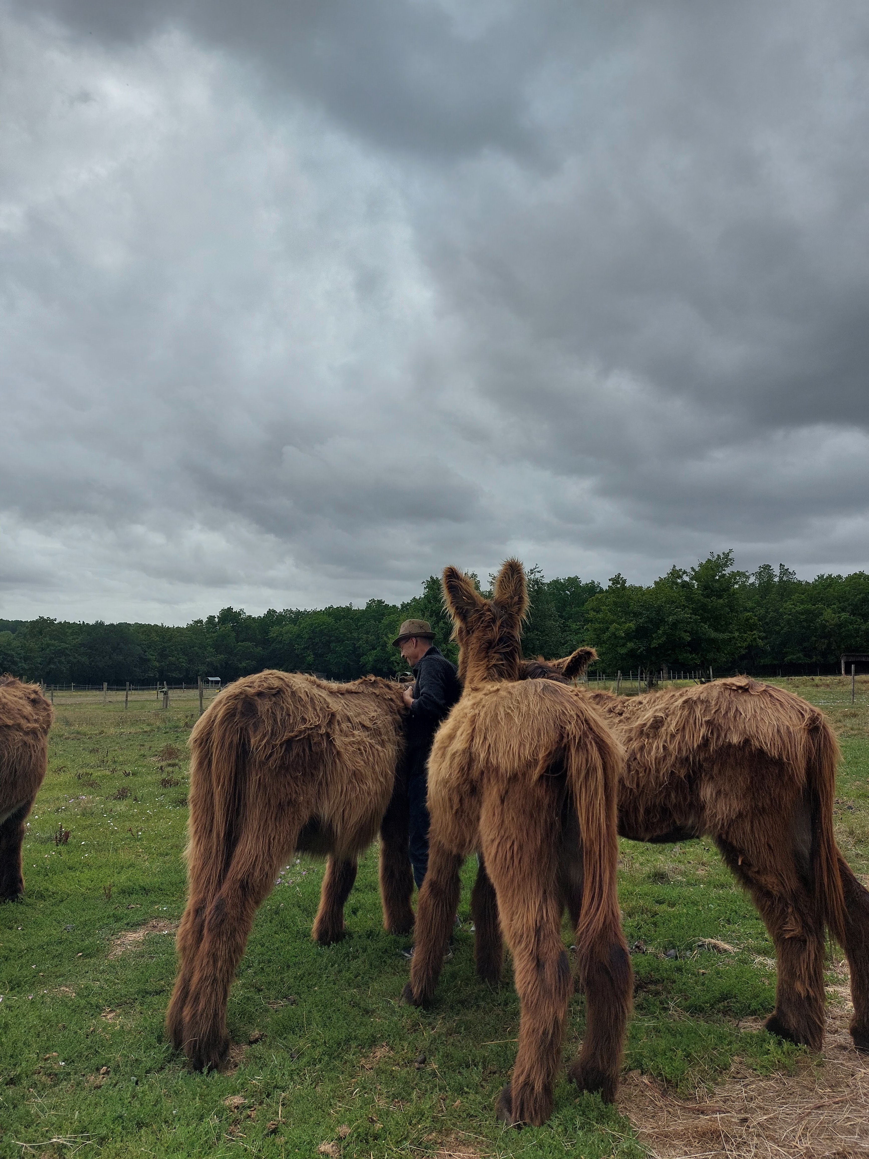Photo n° 4 de l'avis de Isabelle.o fait le 16/07/2023 à 19:00