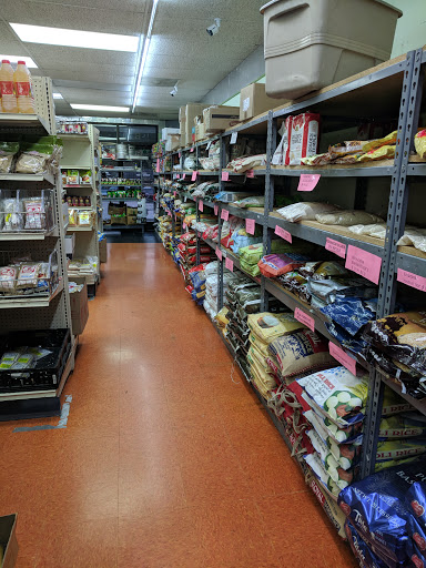 Grocery Store «Triangle Indian Market», reviews and photos, 740 E Chatham St # A, Cary, NC 27511, USA