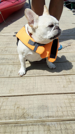 Pet Supply Store «Petco Animal Supplies», reviews and photos, 682 Broadway #1n, Saugus, MA 01906, USA