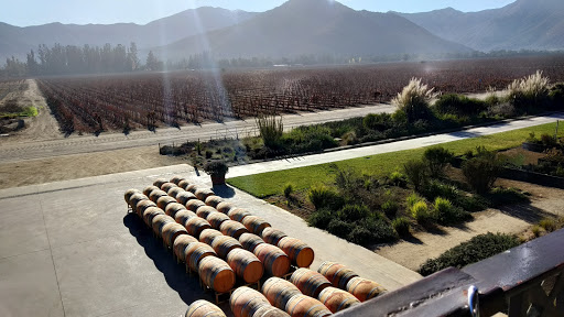 Viñedos Veramonte altos de casa blanca