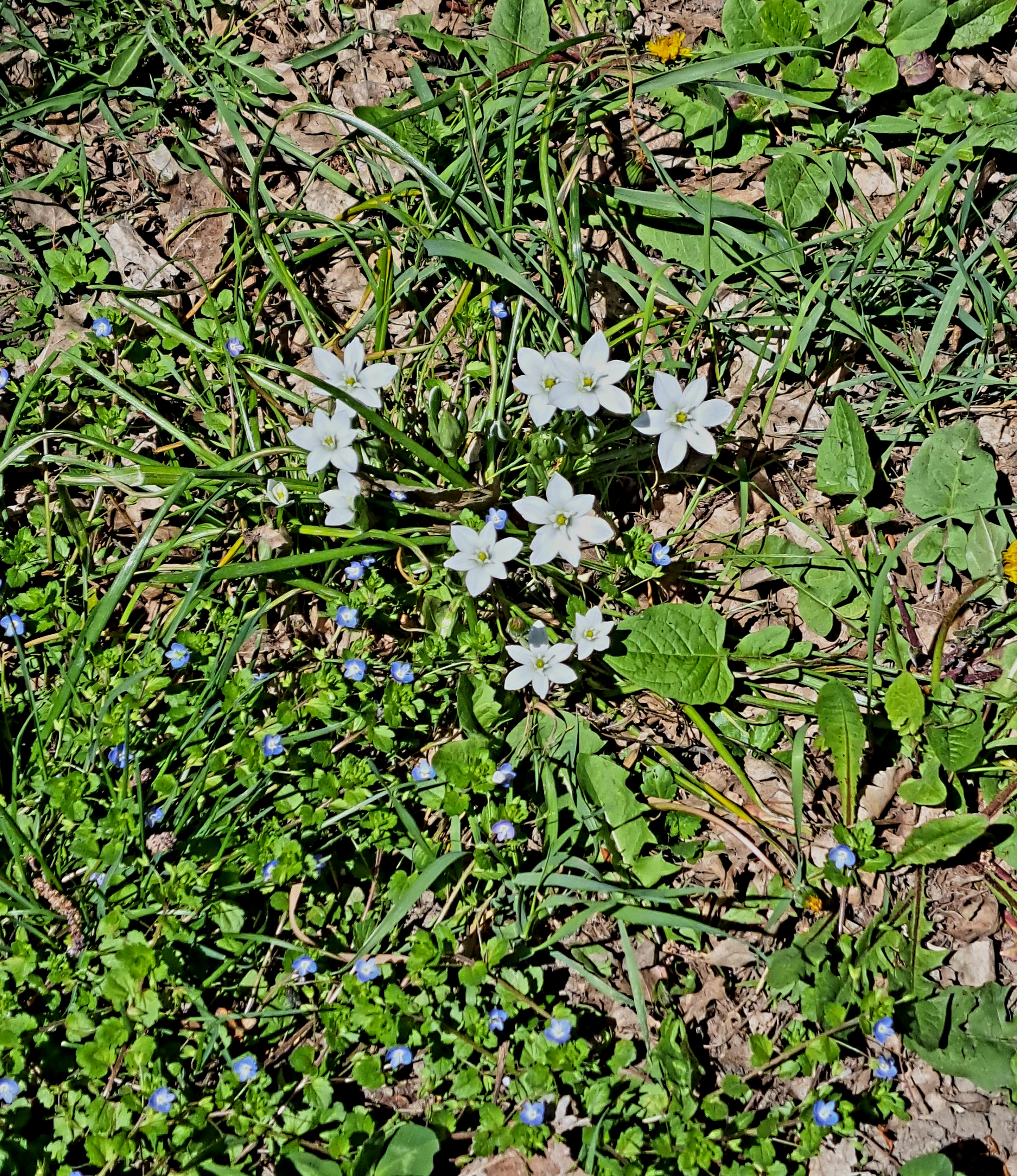 Photo n° 26 de l'avis de Patrick.i fait le 16/05/2023 à 16:28