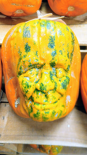 Supermarket «Wegmans», reviews and photos, 650 Harry L Dr, Johnson City, NY 13790, USA