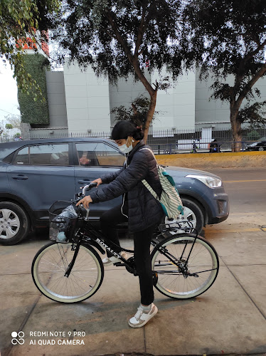 AVENIDA ALAMEDA SAN MARCOS MANZANA J1, Chorrillos 15067