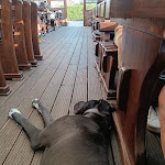 Photo n°1 de l'avis de Thomas.a fait le 19/06/2023 à 13:18 sur le  Restaurant Steinhof Munster à Munster