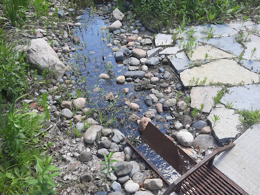 Nature Preserve «Westwood Hills Nature Center», reviews and photos, 8300 W Franklin Ave, St Louis Park, MN 55426, USA