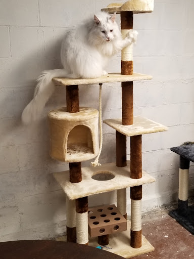 Pet Supply Store «Animal Krackers Inc», reviews and photos, 232 Main St, Gloucester, MA 01930, USA