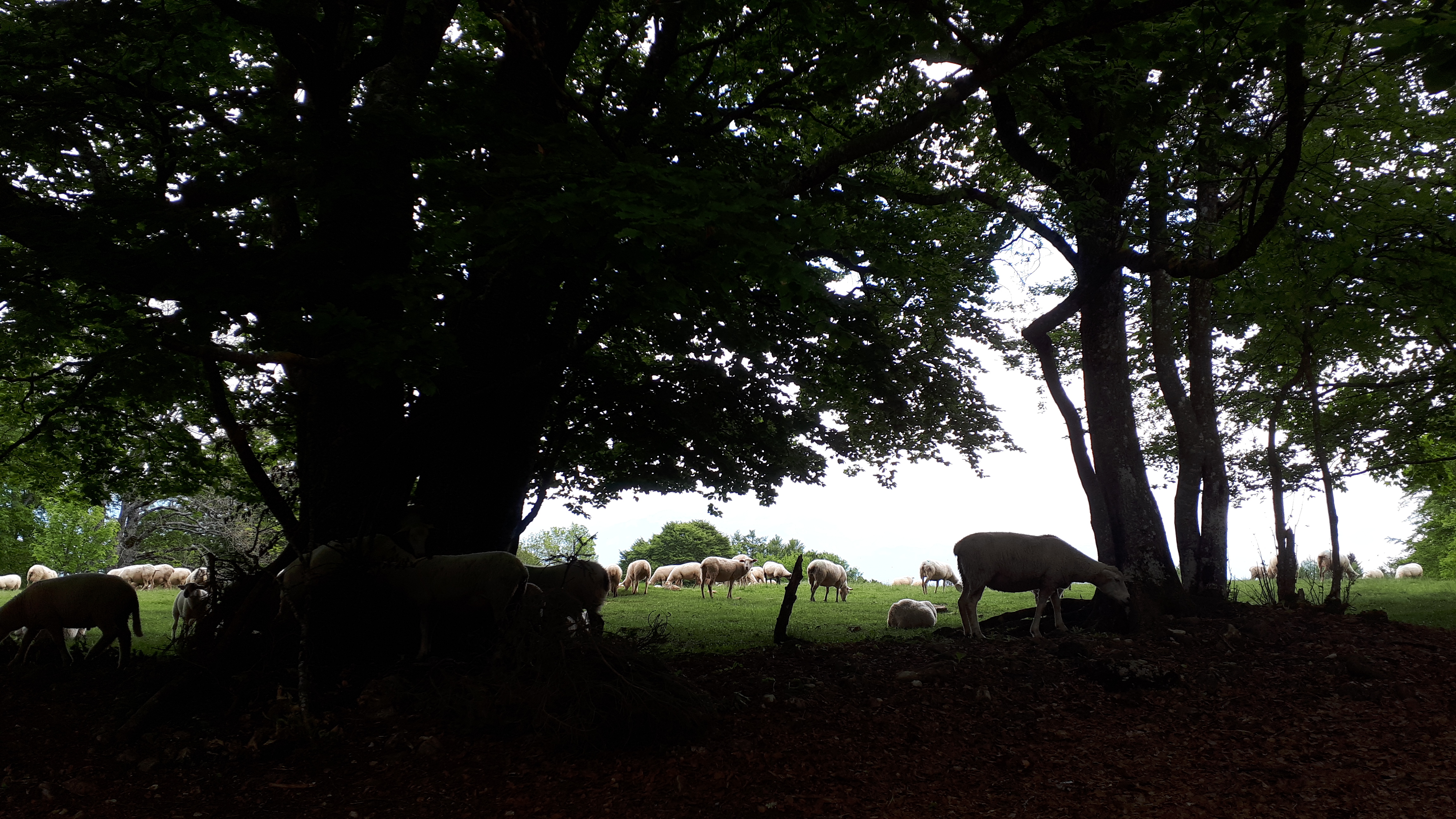 Photo n° 11 de l'avis de Paulo.o fait le 27/05/2018 à 17:14