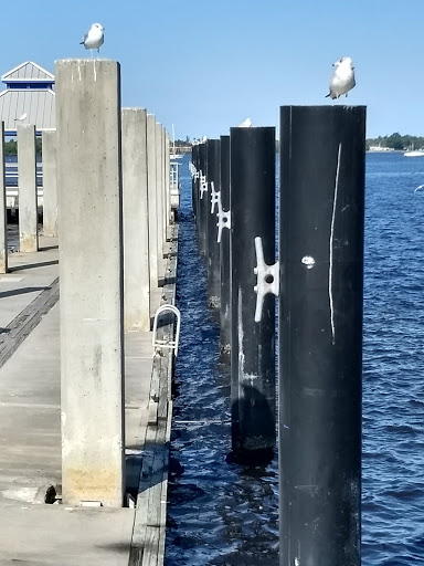 Convention Center «Harborside Event Center», reviews and photos, 1375 Monroe St, Fort Myers, FL 33901, USA