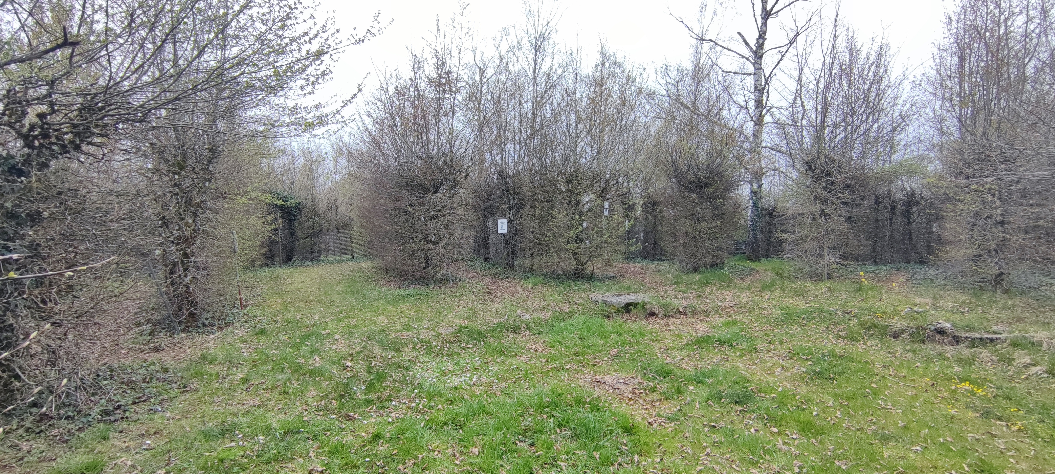 Photo n° 4 de l'avis de Michal.a fait le 10/04/2023 à 13:48