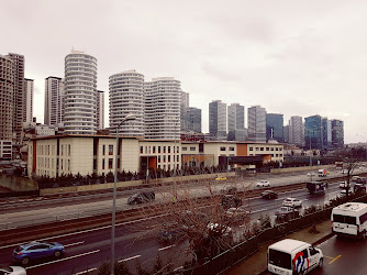 İstanbul Medeniyet Üniversitesi