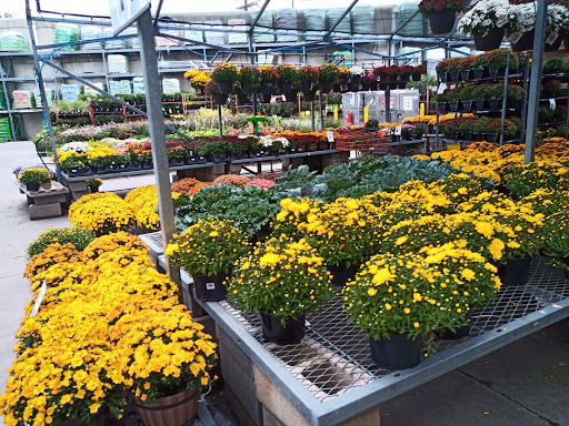 Home Improvement Store «The Home Depot», reviews and photos, 600 Hempstead Turnpike, Elmont, NY 11003, USA