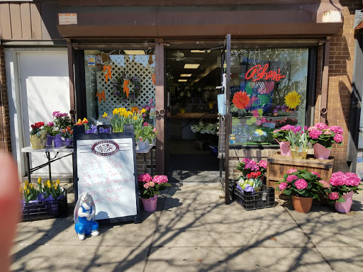 Torresdale Flowers Shop Inc, 7332 Frankford Ave, Philadelphia, PA 19136, USA, 