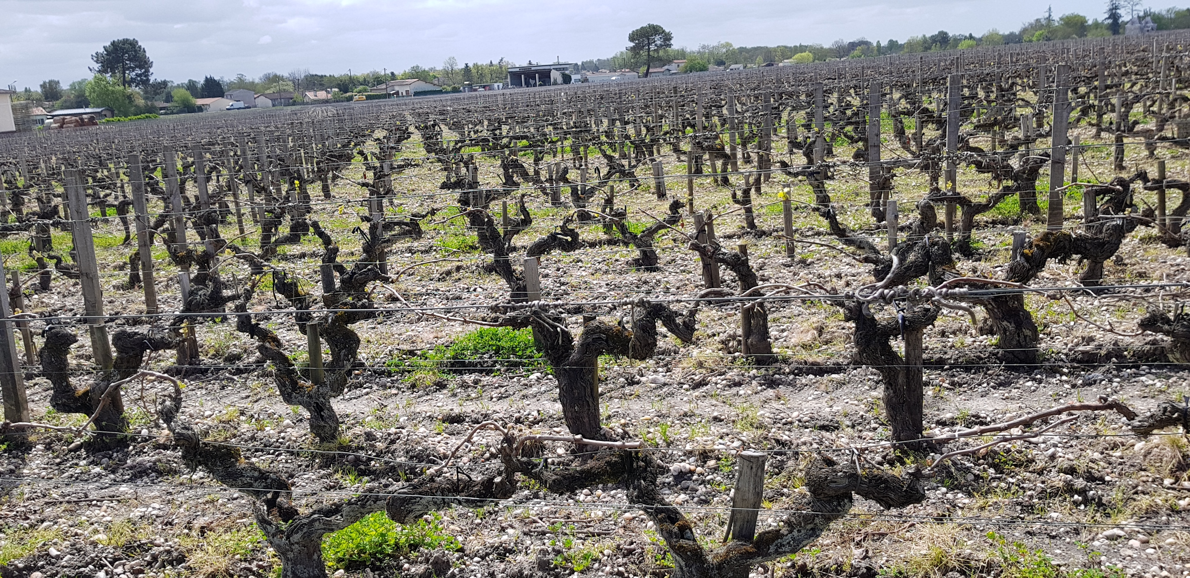 Photo n° 5 de l'avis de Rémy.o fait le 16/04/2018 à 14:34