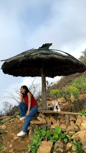 Top 20 cửa hàng ainosofia Huyện Mai Châu Hòa Bình 2022