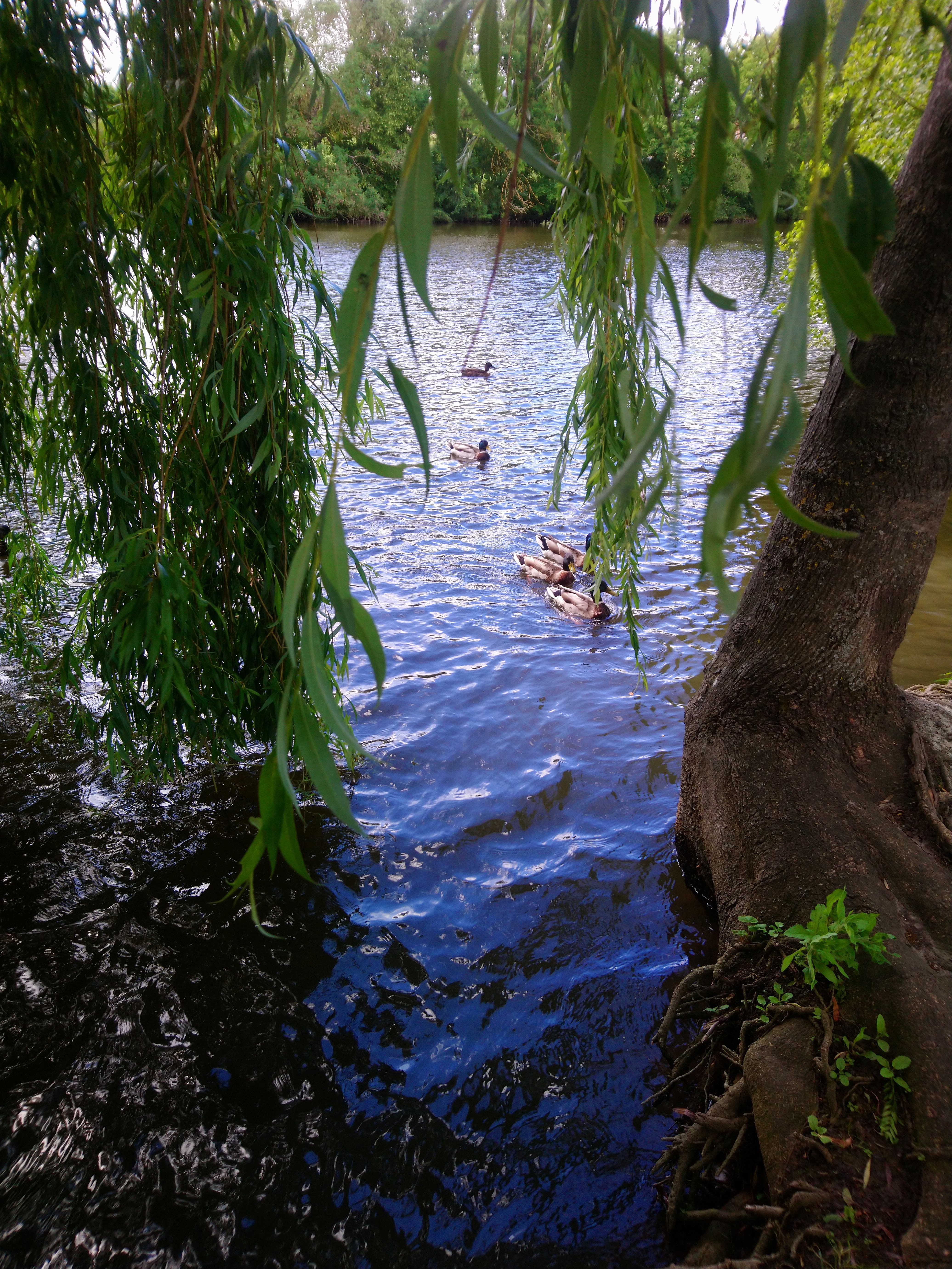 Photo n° 15 de l'avis de Lucien.e fait le 10/06/2019 à 14:23
