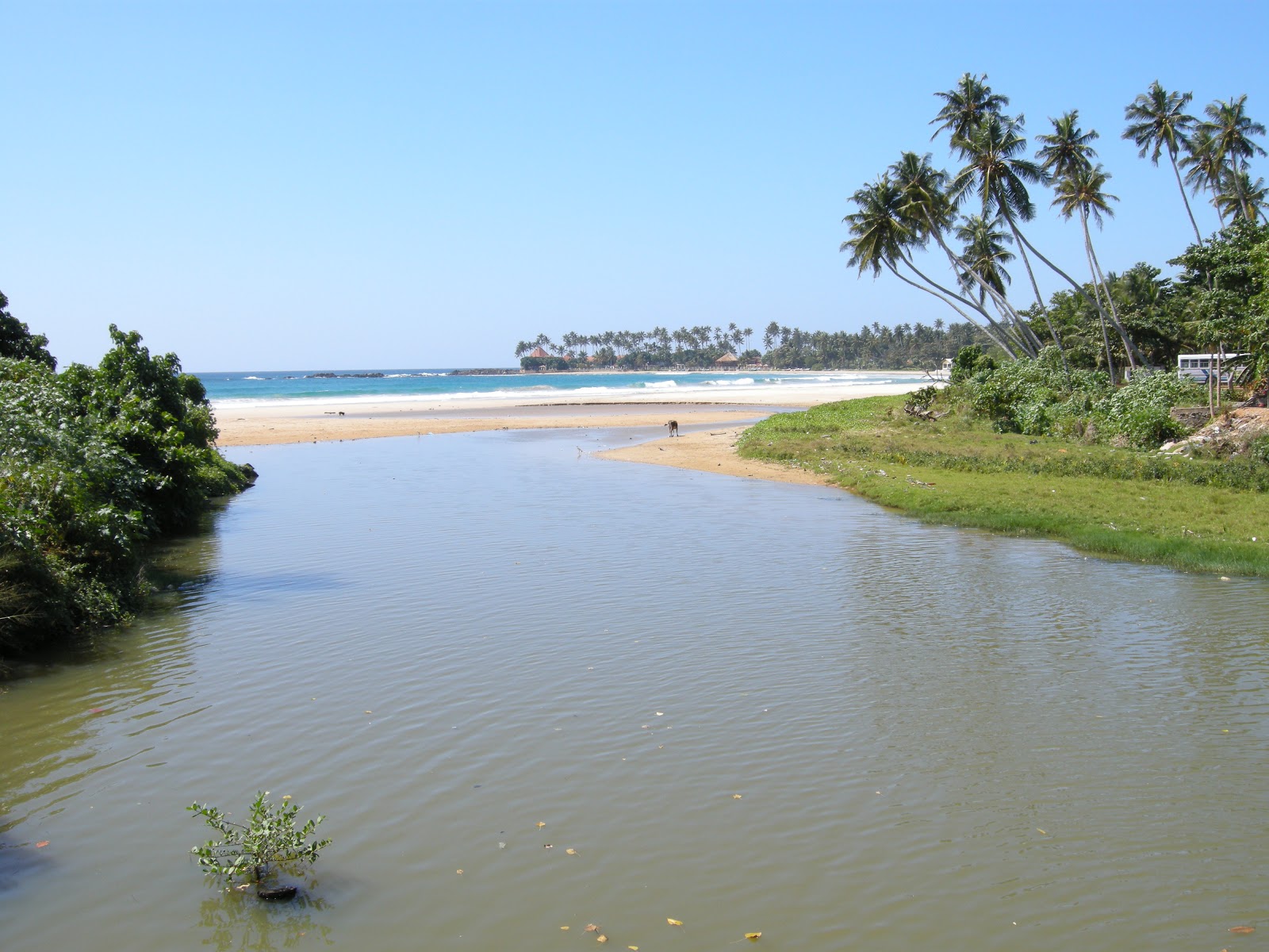 Photo of Nilawala Beach with spacious shore