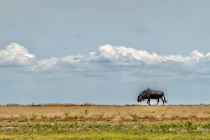 Liuwa Plain National Park image