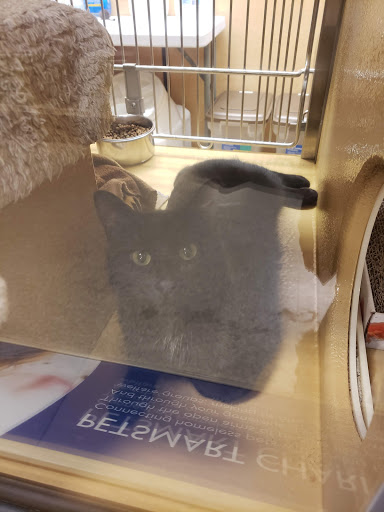 Pet Supply Store «PetSmart», reviews and photos, 4180 US-1, Monmouth Junction, NJ 08852, USA