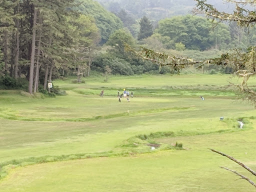 Golf Course «Neskowin Marsh Golf Course», reviews and photos, 48405 Hawk Dr, Neskowin, OR 97149, USA