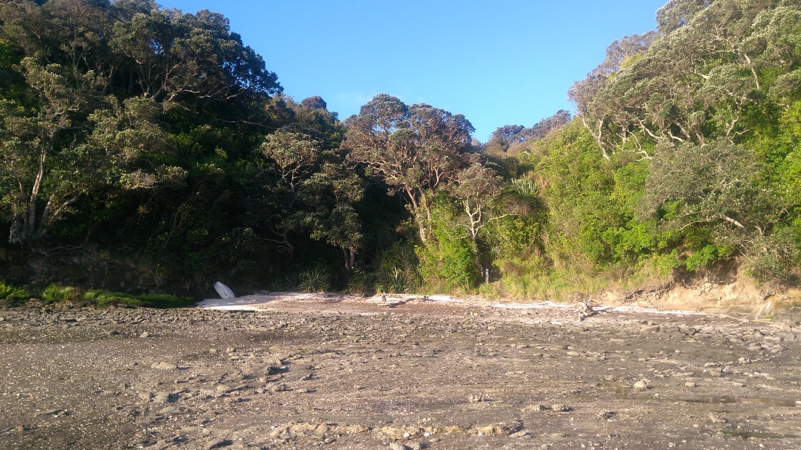 Foto di Manukau Beach circondato da montagne