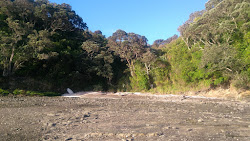 Manukau Beach'in fotoğrafı dağlarla çevrili