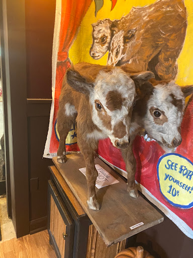 Explore back tattoos for men ideas, creative tattoo ideas in Asheville, available at Dark and Deviant Oddities