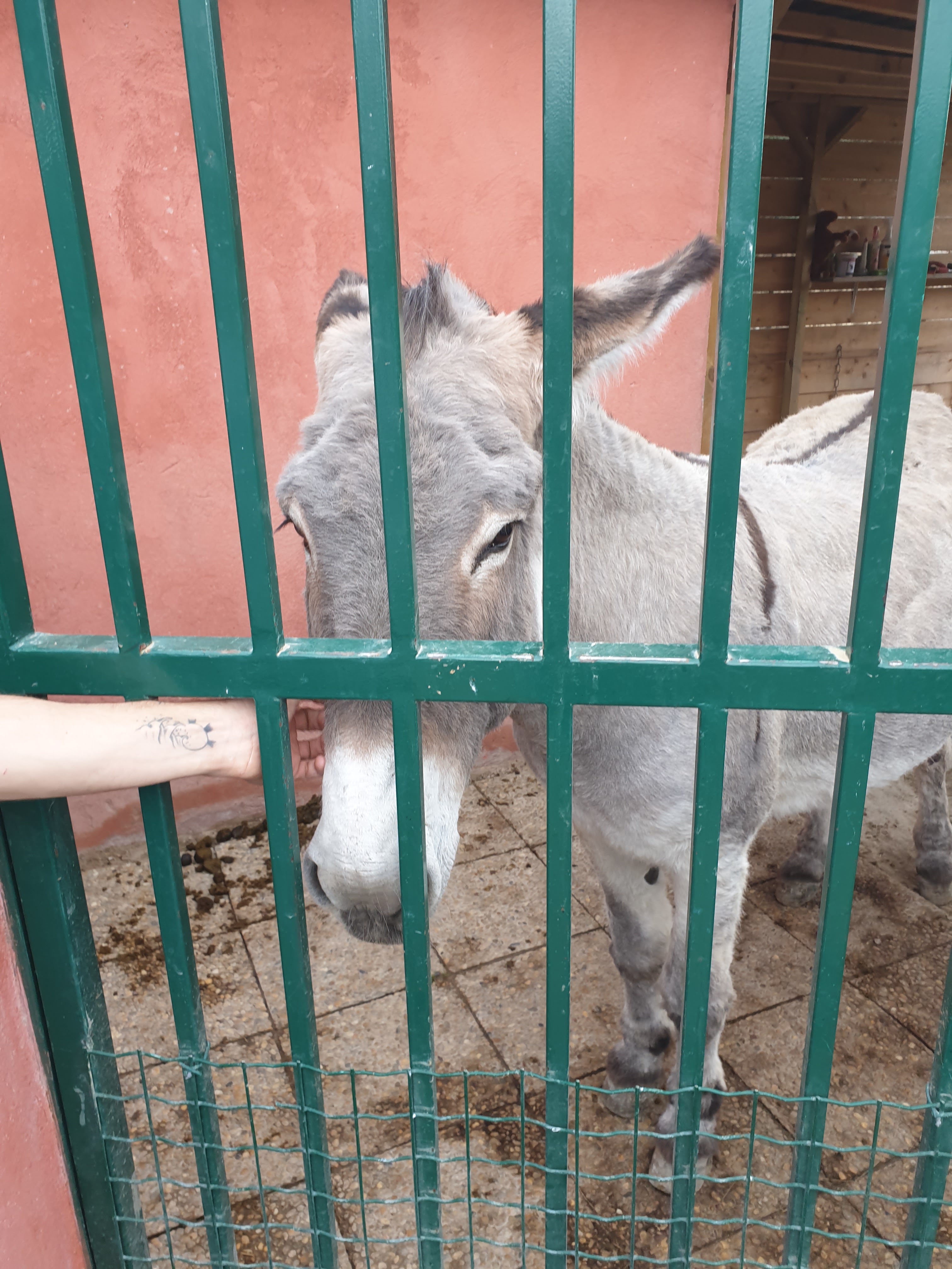 Photo n° 2 de l'avis de matthieu.o fait le 03/10/2021 à 12:47