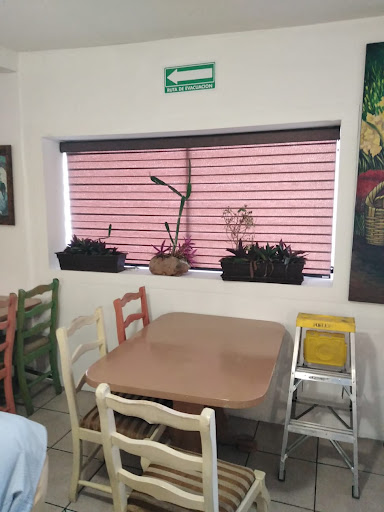 Cortinas De Acero Tala