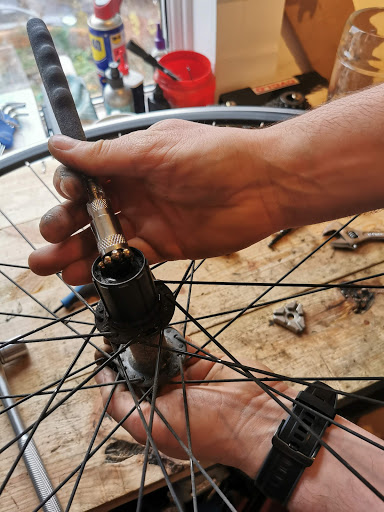 Freewheel Bicycle Repairs, Servicing and Wheel Building.