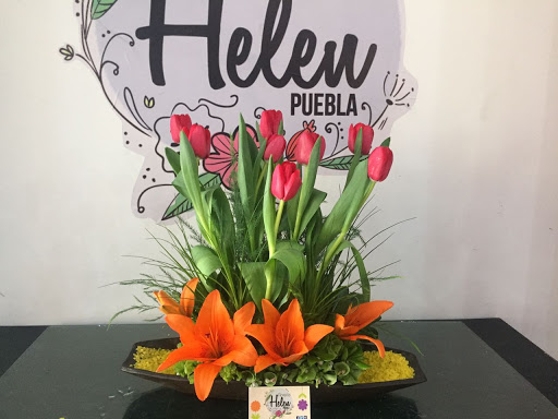 Floreria Helen Puebla