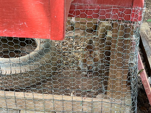 Nature Preserve «Autrey Mill Nature Preserve & Heritage Center», reviews and photos, 9770 Autrey Mill Rd, Johns Creek, GA 30022, USA