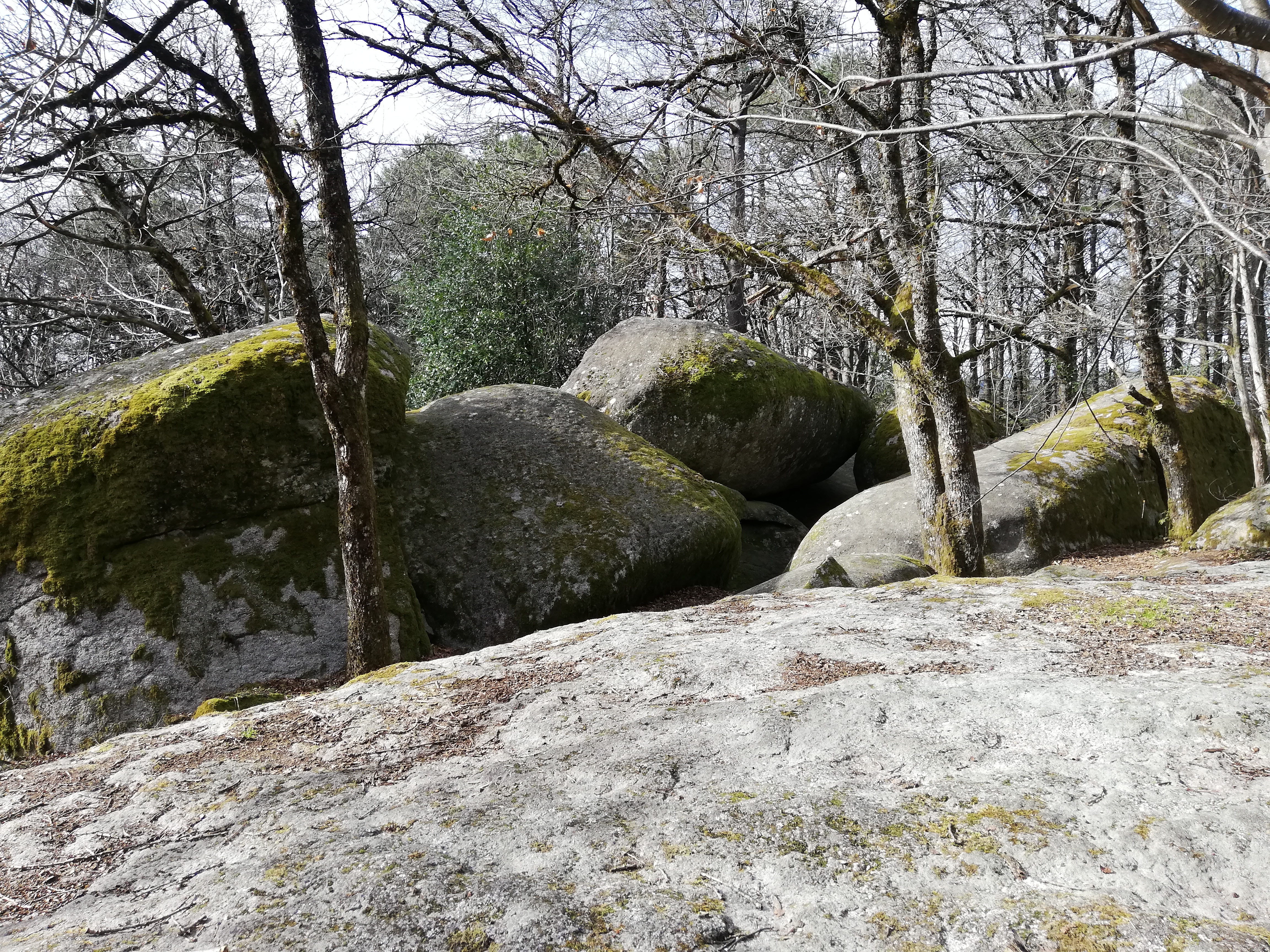 Photo n° 5 de l'avis de Lorene.o fait le 13/03/2019 à 21:32
