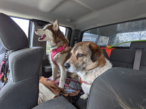 Pet Supply Store «Pet Source», reviews and photos, 1173 Main St, Concord, MA 01742, USA