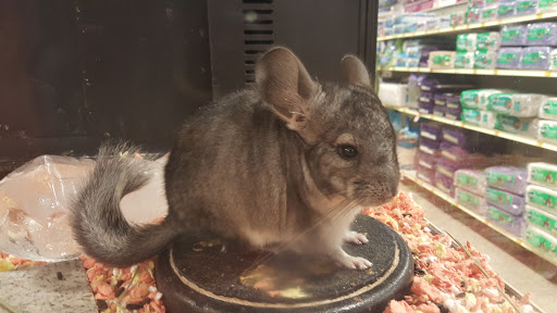 Pet Supply Store «PetSmart», reviews and photos, 17585 Southcenter Pkwy, Tukwila, WA 98188, USA