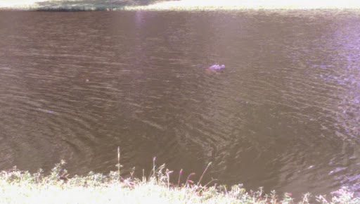 Golf Course «Bloody Point Golf Club & Beach Resort», reviews and photos, 56 Fuskie Ln, Daufuskie Island, SC 29915, USA