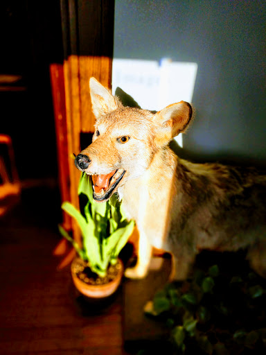 Tattoo Shop «Twisted Images», reviews and photos, 1225 Bardstown Rd, Louisville, KY 40204, USA