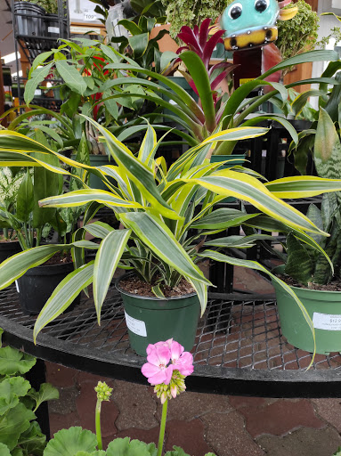 Hardware Store «La Grange Pk Ace Hardware Inc», reviews and photos, 900 E 31st St, La Grange Park, IL 60526, USA